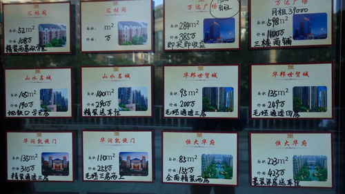 上海房产中介行业深析 专业程度与从业挑战齐驱